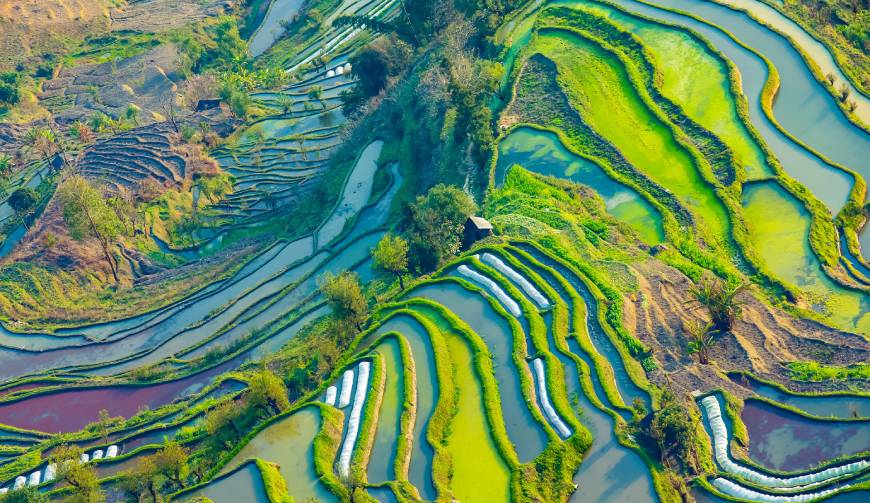 宝妈必备神器：武穴市产品视频拍摄轻松育儿好帮手