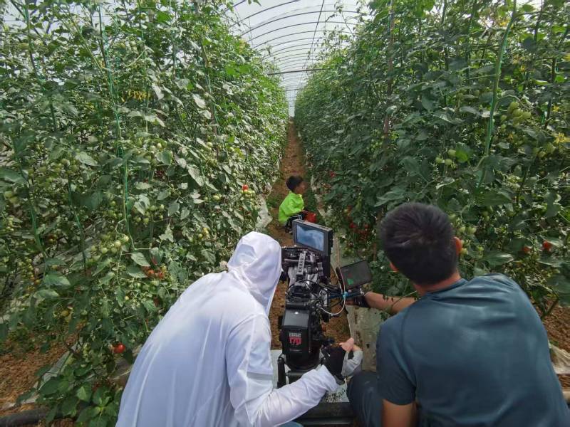 武穴市产品宣传视频拍摄公司进阶指南，助力品牌抢占传播高地